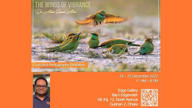 solo bird photography exhib