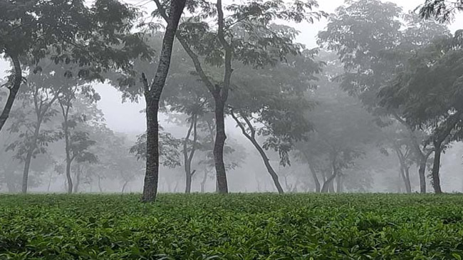 srimangal lowest temperature 1