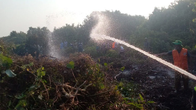 sundarban fire