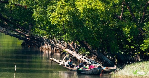 sundarban fishermen