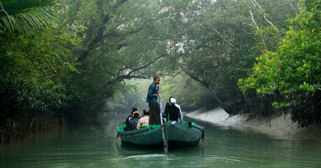 sundarbon Canal