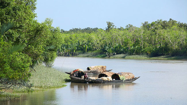 sundorban fishing