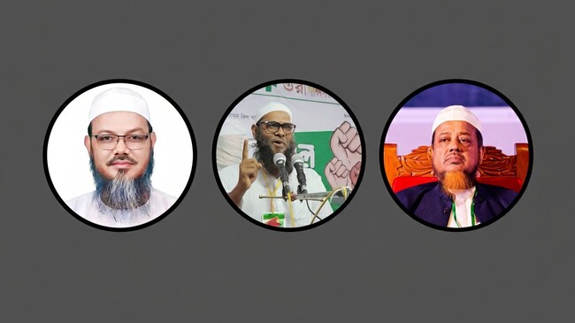 প্রচারণায় সরব থেকেও ব্যর্থ হাতপাখা, জয় পেলেন শুধু অলি উল্লাহ