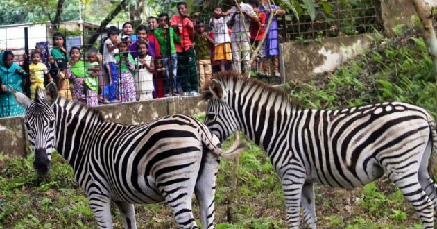 sylhet zoo