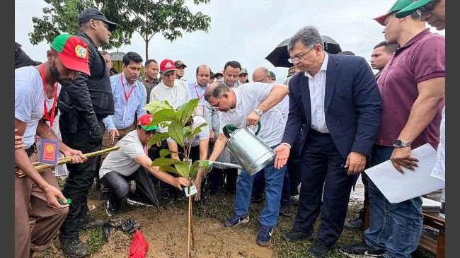 ২৫ কোটি বৃক্ষরোপণের নির্বাচনী অঙ্গীকার বাস্তবায়ন শুরু