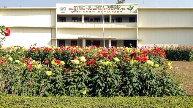 tea research institute