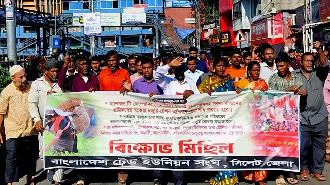 tea workers protest in sylhet demanding arrears of salaries and rations