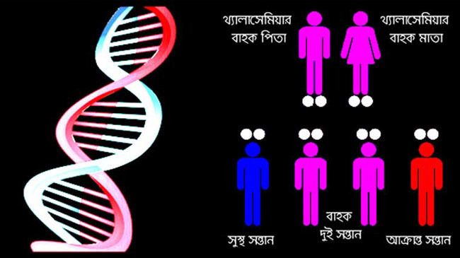 thalassemia is affected