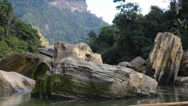 thanci bandarbon