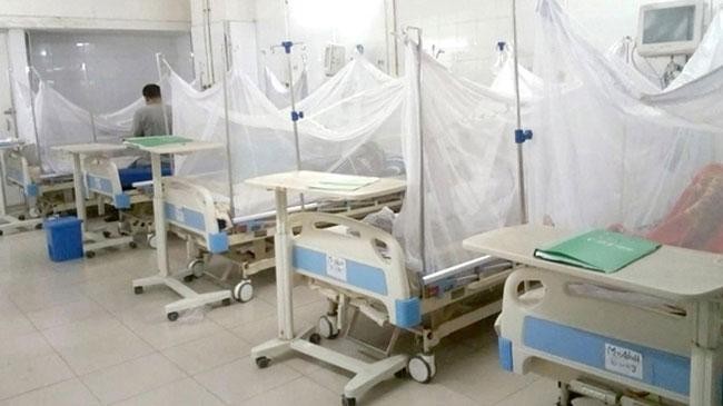 three dies of dengue 712 h