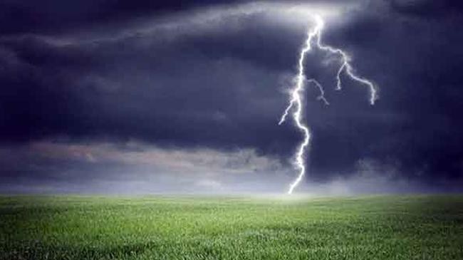 thundering tangail