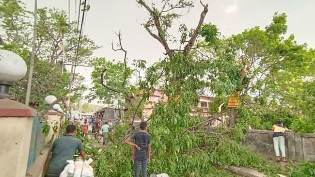 tornado gaibandha lost lives seven inner
