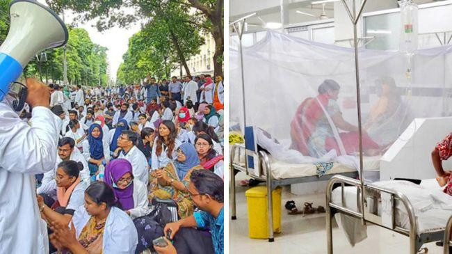 trainee doctor dengue