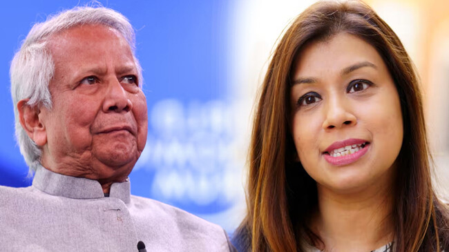 d. yunus and tulip