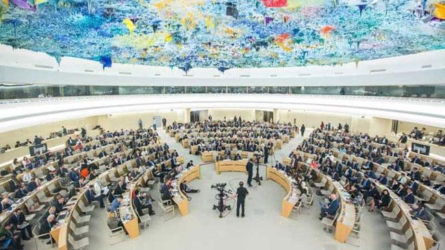 united nations human rights