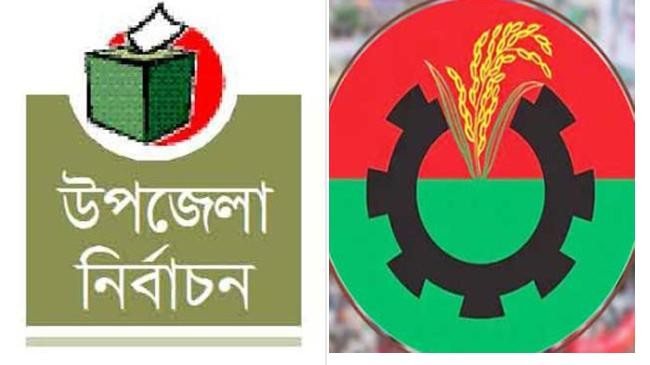 upazila bnp