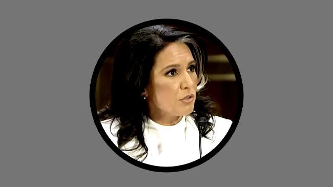 usa tulsi gabbard
