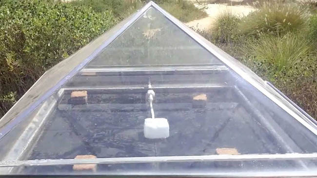 water detanation plant