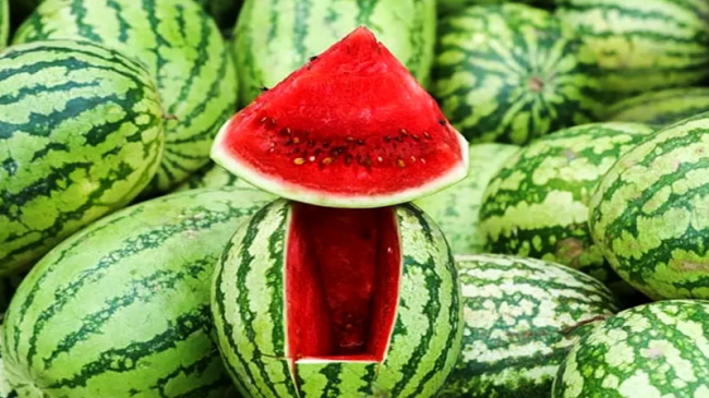 water melon