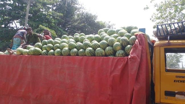 watermalon on truck