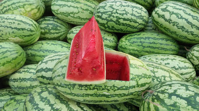 watermelon pic