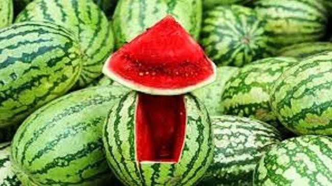 watermelon 1