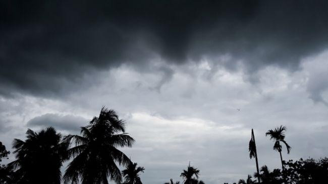weather forecast 19