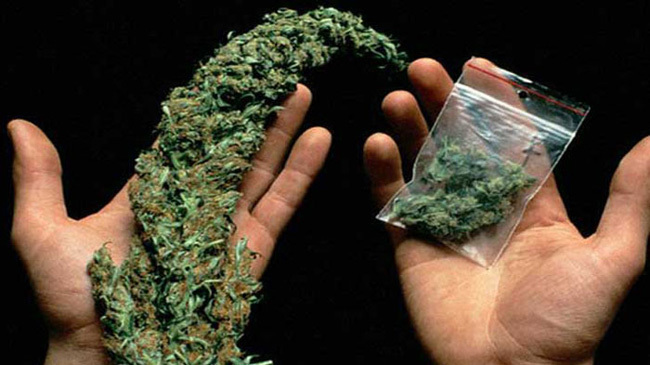 weed source arrest