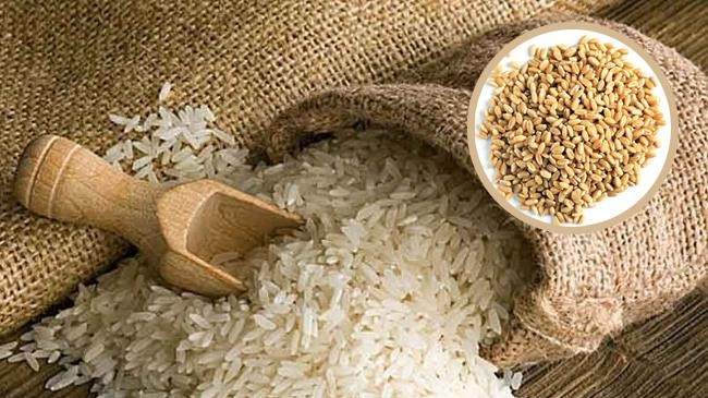 wheat and rice
