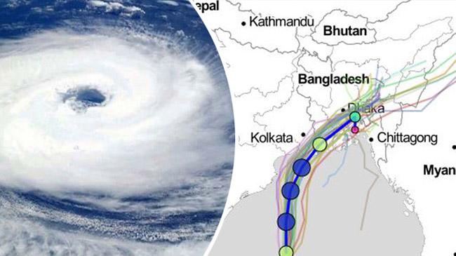 whirlwind bulbul