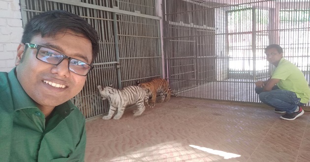 white tiger selfie mithu