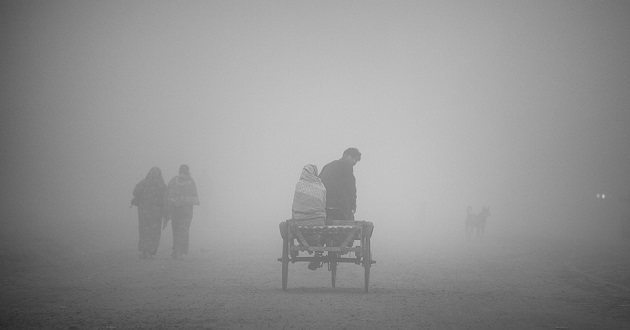 winter fog bd