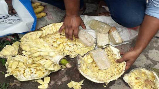 yaba inside jackfruit