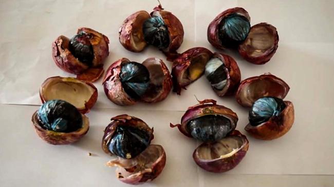 yaba phensedyl