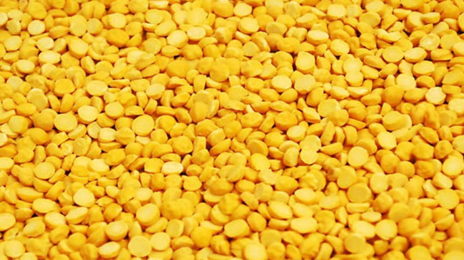yellow motar dal
