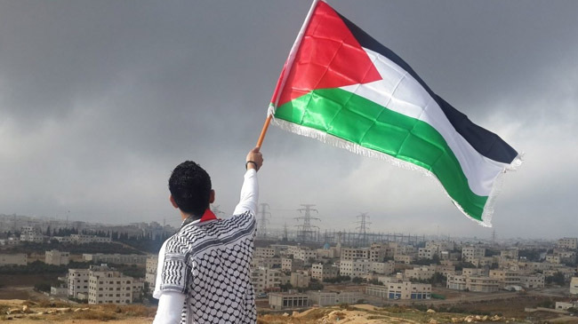 youth holding palaestine flag