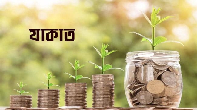 zakat management