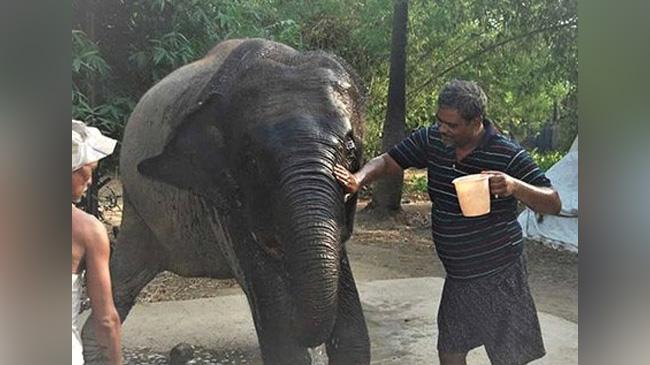 akhtar imam with elephant 2