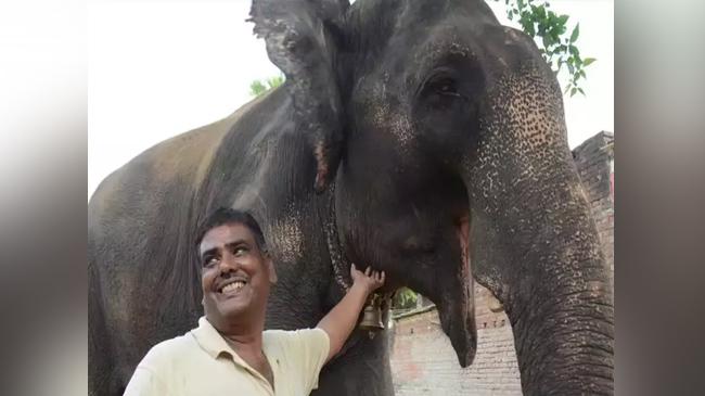 akhtar imam with elephant