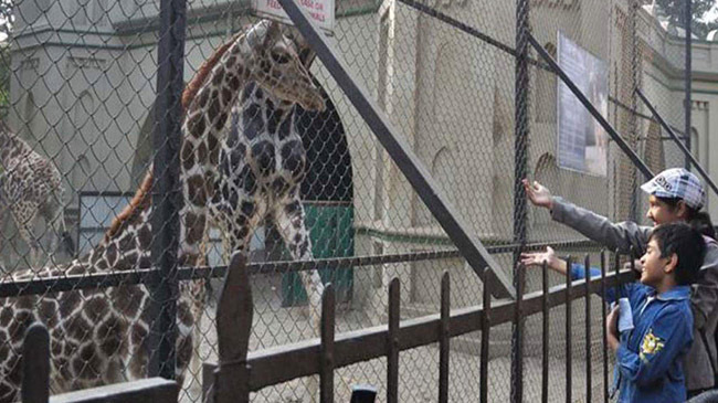 alipore zoo west bengal india