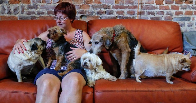 animals care home main