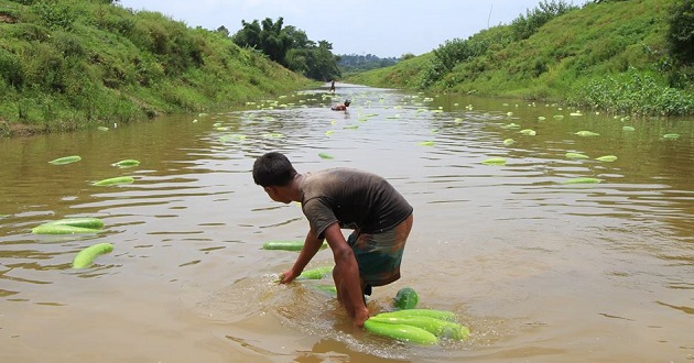 bandarban lau