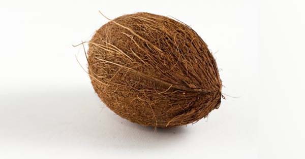 coconut