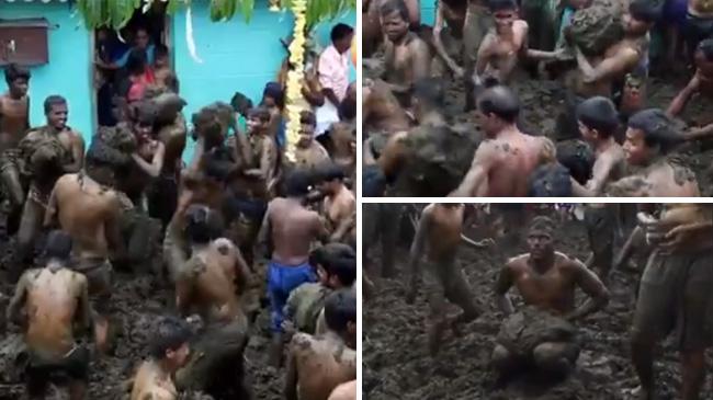 cow dung festival