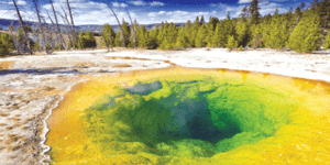 color-of-yellowstone