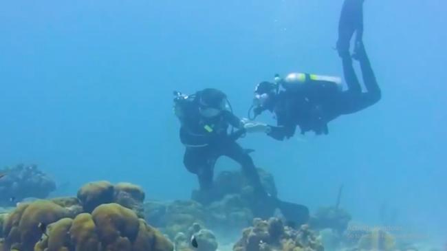 propose in sea