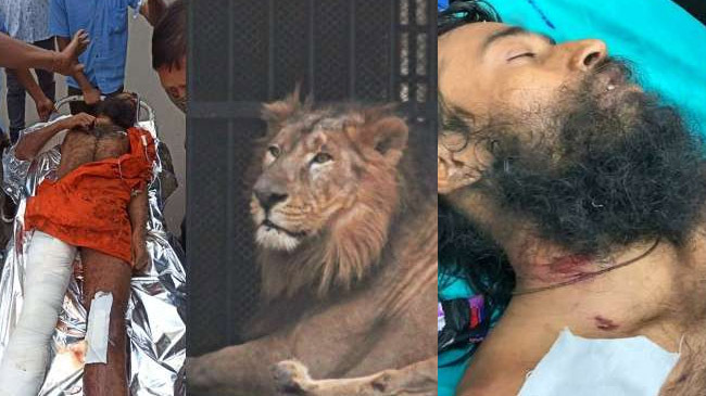 shadhu enters lion case india