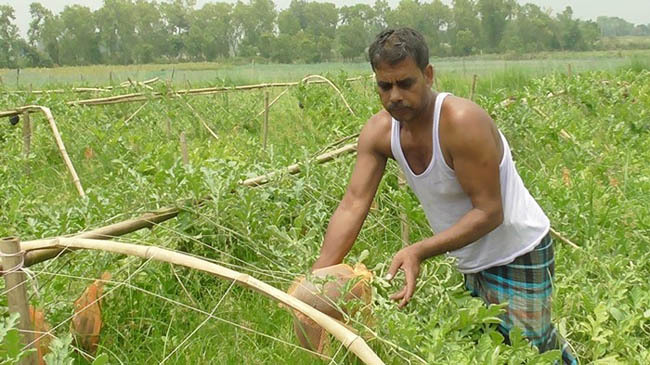 farmar monirul 2