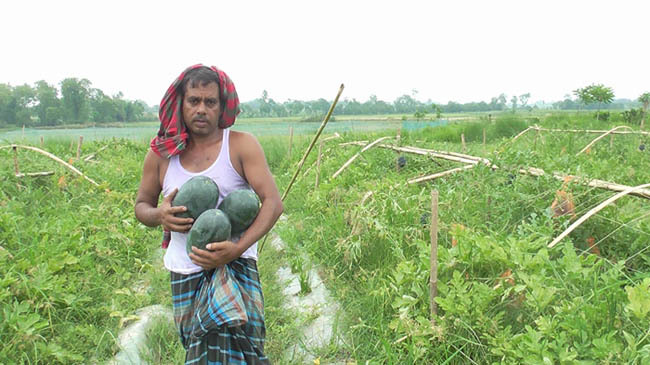 farmar monirul