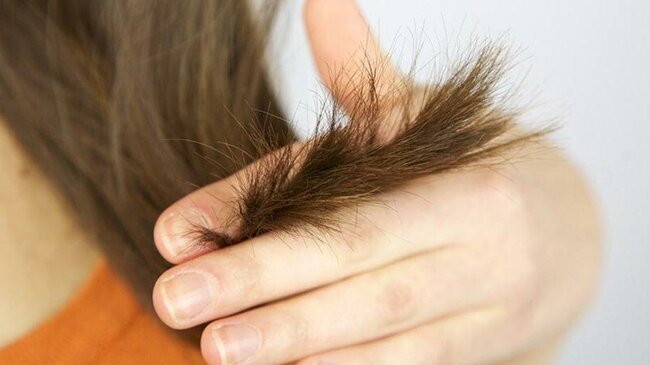home remedies for hair split ends2